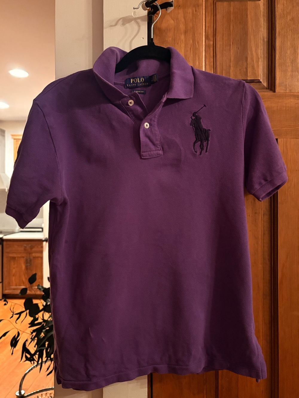 Polo by Ralph Lauren Purple Boys Polo Shirt